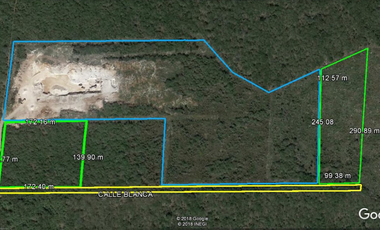 Terreno en venta Mérida Yucatán, Conkal (2.6 hectáreas)