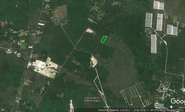 Terreno en venta Mérida Yucatán, Conkal (2.6 hectáreas)
