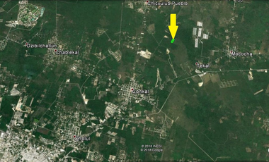 Terreno en venta Mérida Yucatán, Conkal (2.6 hectáreas)
