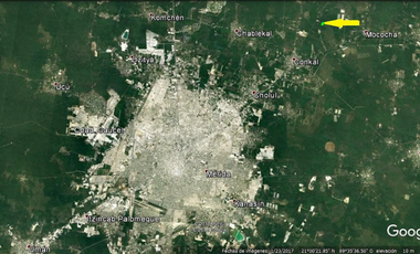 Terreno en venta Mérida Yucatán, Conkal (2.6 hectáreas)