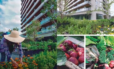 Departamento a estrenar en Fuentes del Pedregal, Periférico Sur 4271