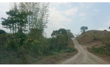 Se Vende Finca 180 Cuadras Sector La Morena Flavio Alfaro