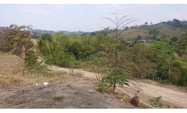 Se Vende Finca 180 Cuadras Sector La Morena Flavio Alfaro