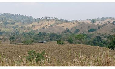 Se Vende Finca 180 Cuadras Sector La Morena Flavio Alfaro