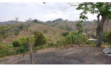 Se Vende Finca 180 Cuadras Sector La Morena Flavio Alfaro