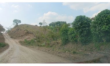 Se Vende Finca 180 Cuadras Sector La Morena Flavio Alfaro