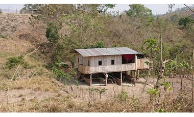 Se Vende Finca 180 Cuadras Sector La Morena Flavio Alfaro