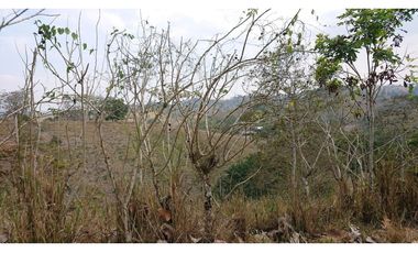 Se Vende Finca 180 Cuadras Sector La Morena Flavio Alfaro