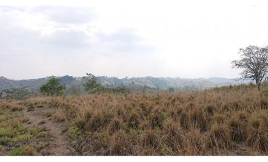 Se Vende Finca 180 Cuadras Sector La Morena Flavio Alfaro