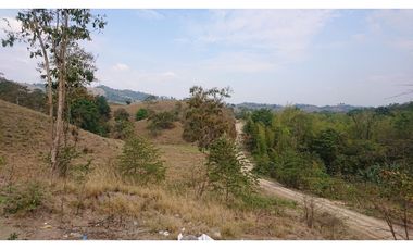 Se Vende Finca 180 Cuadras Sector La Morena Flavio Alfaro