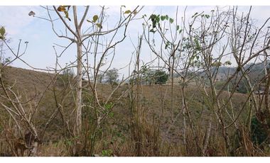 Se Vende Finca 180 Cuadras Sector La Morena Flavio Alfaro