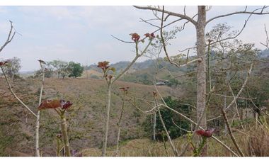 Se Vende Finca 180 Cuadras Sector La Morena Flavio Alfaro