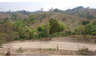 Se Vende Finca 180 Cuadras Sector La Morena Flavio Alfaro