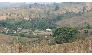 Se Vende Finca 180 Cuadras Sector La Morena Flavio Alfaro