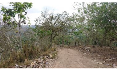 Se Vende Finca 180 Cuadras Sector La Morena Flavio Alfaro