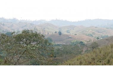 Se Vende Finca 180 Cuadras Sector La Morena Flavio Alfaro