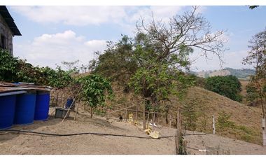 Se Vende Finca 180 Cuadras Sector La Morena Flavio Alfaro