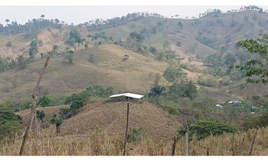 Se Vende Finca 180 Cuadras Sector La Morena Flavio Alfaro