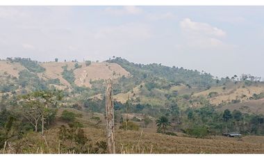 Se Vende Finca 180 Cuadras Sector La Morena Flavio Alfaro