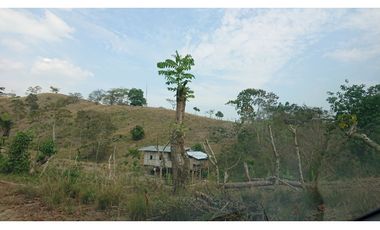 Se Vende Finca 180 Cuadras Sector La Morena Flavio Alfaro