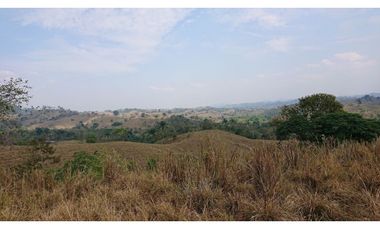 Se Vende Finca 180 Cuadras Sector La Morena Flavio Alfaro