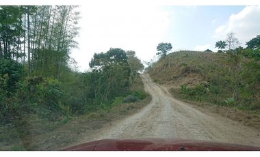 Se Vende Finca 180 Cuadras Sector La Morena Flavio Alfaro