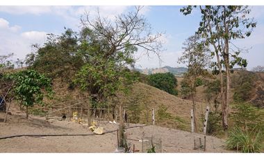 Se Vende Finca 180 Cuadras Sector La Morena Flavio Alfaro