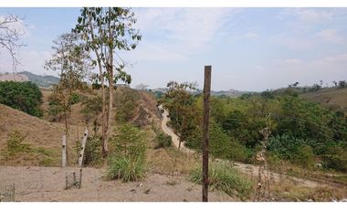 Se Vende Finca 180 Cuadras Sector La Morena Flavio Alfaro