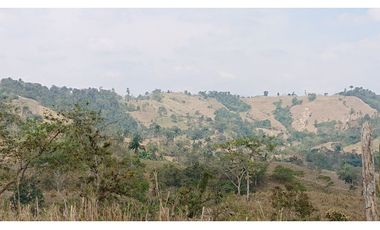 Se Vende Finca 180 Cuadras Sector La Morena Flavio Alfaro