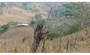 Se Vende Finca 180 Cuadras Sector La Morena Flavio Alfaro