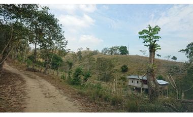 Se Vende Finca 180 Cuadras Sector La Morena Flavio Alfaro