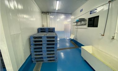 Se Vende Planta Industrial De Mariscos