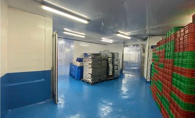 Se Vende Planta Industrial De Mariscos