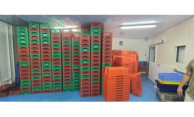 Se Vende Planta Industrial De Mariscos