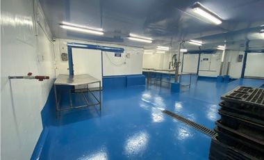 Se Vende Planta Industrial De Mariscos