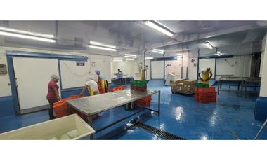 Se Vende Planta Industrial De Mariscos