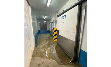 Se Vende Planta Industrial De Mariscos