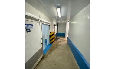 Se Vende Planta Industrial De Mariscos