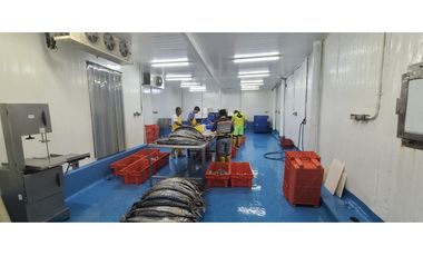 Se Vende Planta Industrial De Mariscos