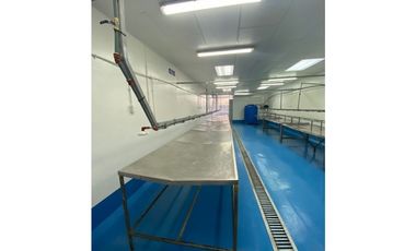 Se Vende Planta Industrial De Mariscos