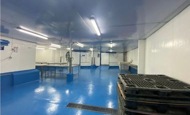 Se Vende Planta Industrial De Mariscos