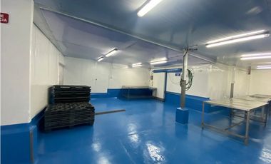 Se Vende Planta Industrial De Mariscos