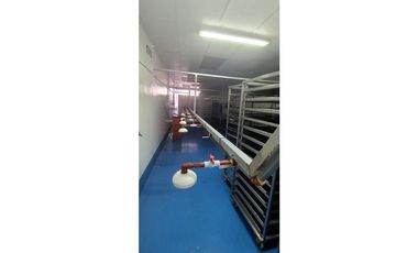 Se Vende Planta Industrial De Mariscos