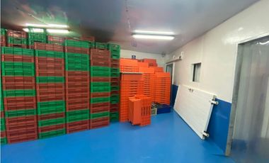 Se Vende Planta Industrial De Mariscos