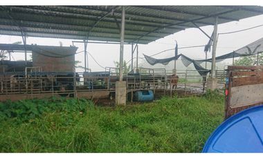 Se Vende 357 Has De Hacienda Productiva Quinindé