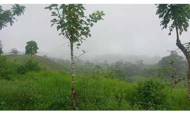 Se Vende 357 Has De Hacienda Productiva Quinindé