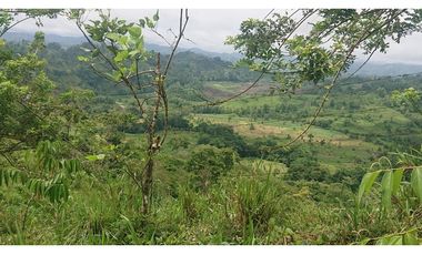 Se Vende 357 Has De Hacienda Productiva Quinindé
