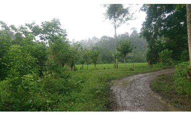 Se Vende 357 Has De Hacienda Productiva Quinindé