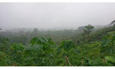 Se Vende 357 Has De Hacienda Productiva Quinindé