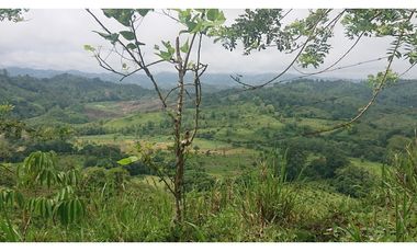 Se Vende 357 Has De Hacienda Productiva Quinindé